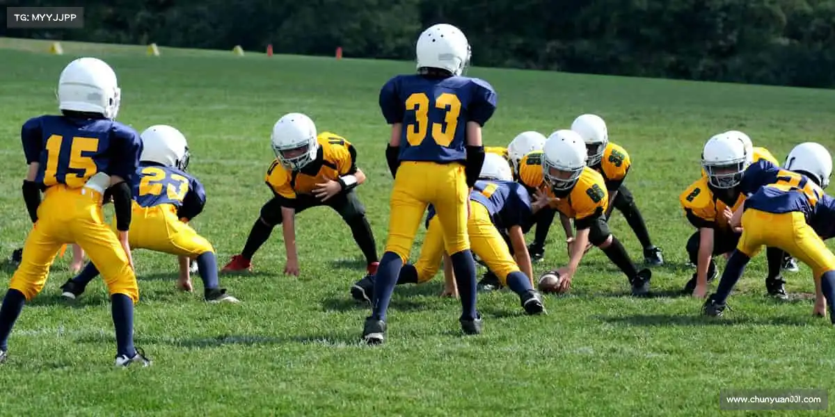 行业领先的理由